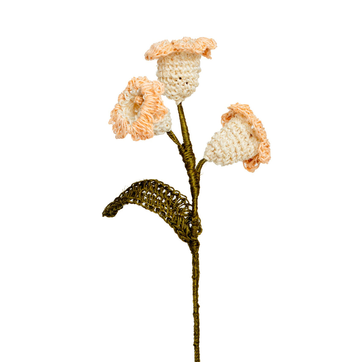 Campanolas Decorative Flower