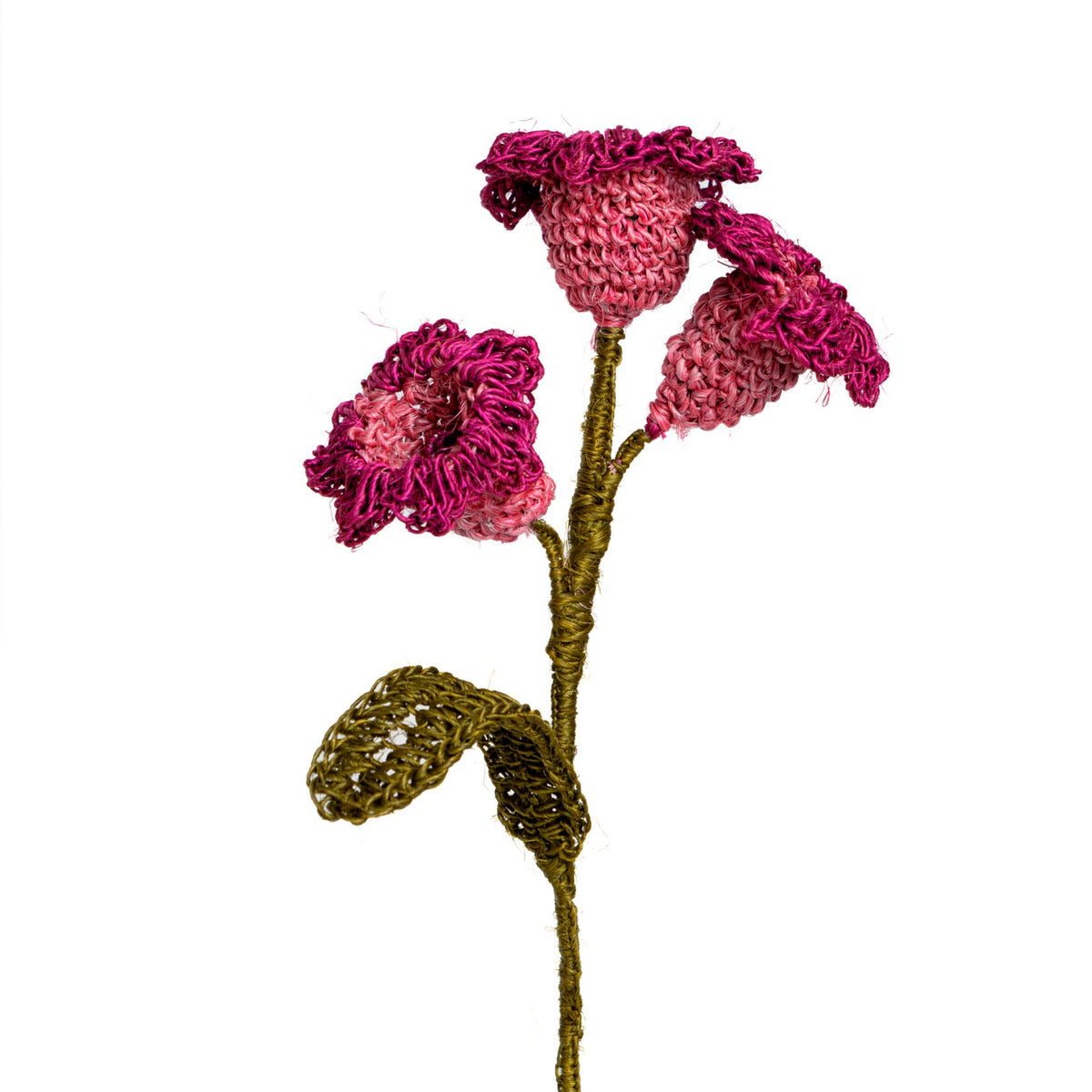Campanolas Decorative Flower