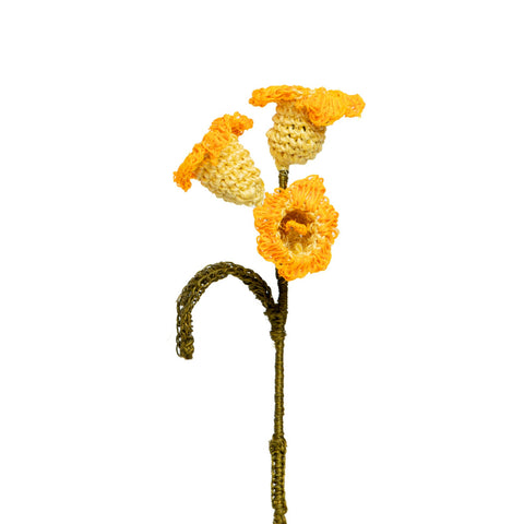 Campanolas Decorative Flower