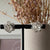 Ohrring Flor Filigrana Doble Silber von Silver Collection by CosaLinda